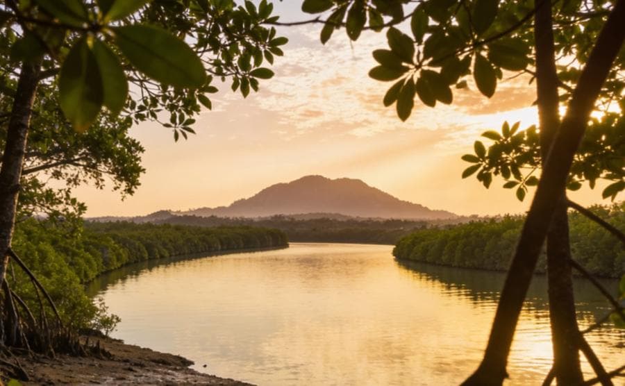 Mount Bintan beyond a mangrove river at sunset